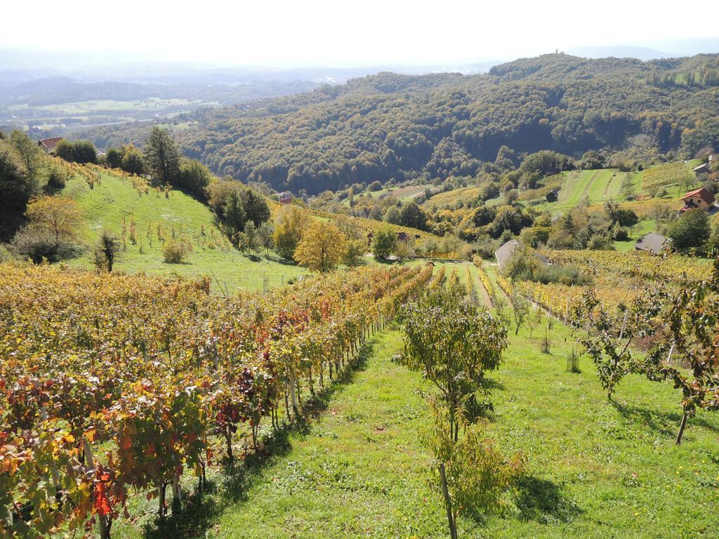 Vineyard Cottage Janko&Metka Otočec Eksteriør bilde